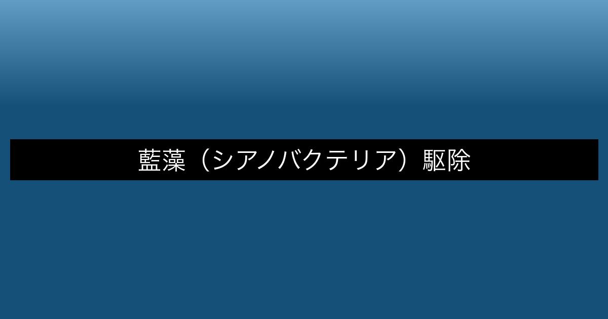 aquarium-shokumo-koke アイキャッチ