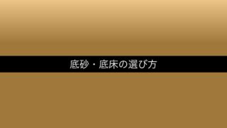 aquarium-sokojo-erabi eyecatch