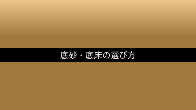 aquarium-sokojo-erabi eyecatch