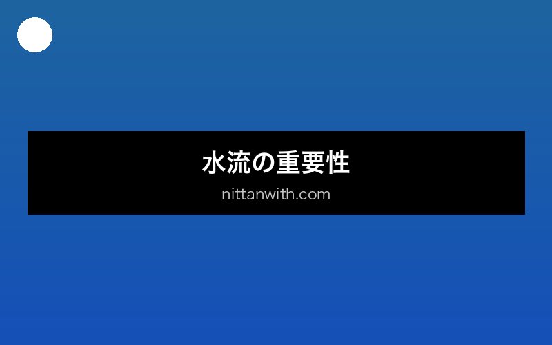 aquarium-tairyu 画像1