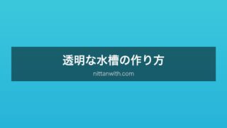 透明な水槽