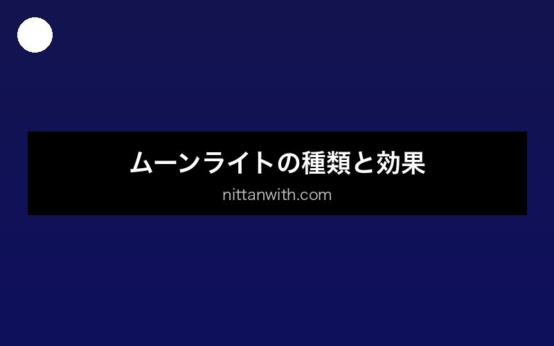 aquarium-yatou-suisou 画像1