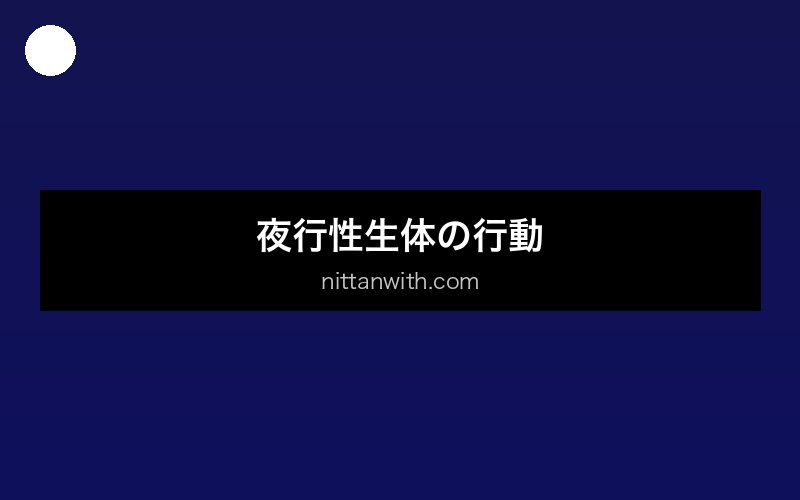 aquarium-yatou-suisou 画像3