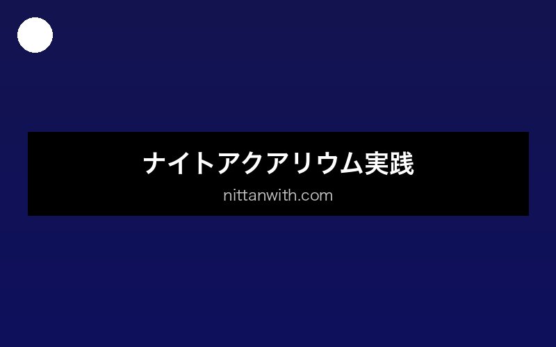 aquarium-yatou-suisou 画像5