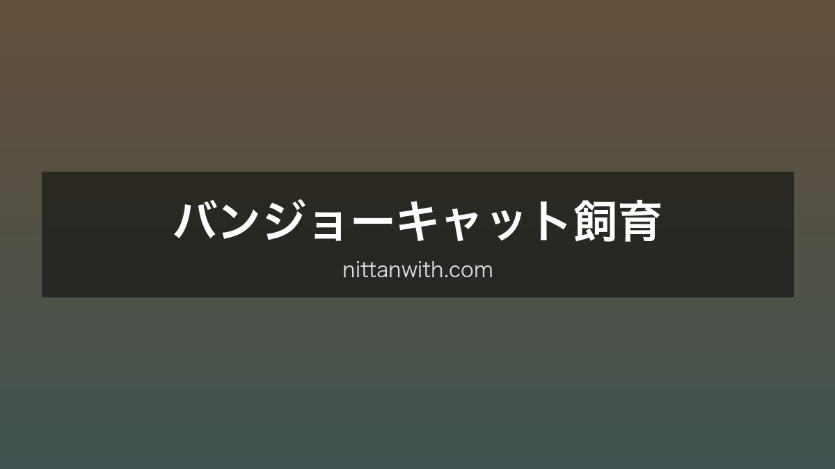 バンジョーキャット飼育