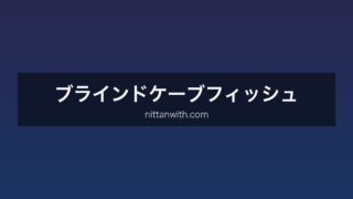 ブラインドケーブ