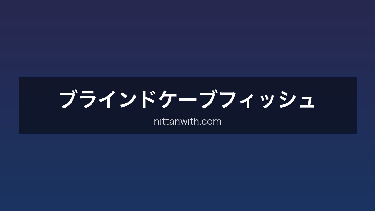 ブラインドケーブ