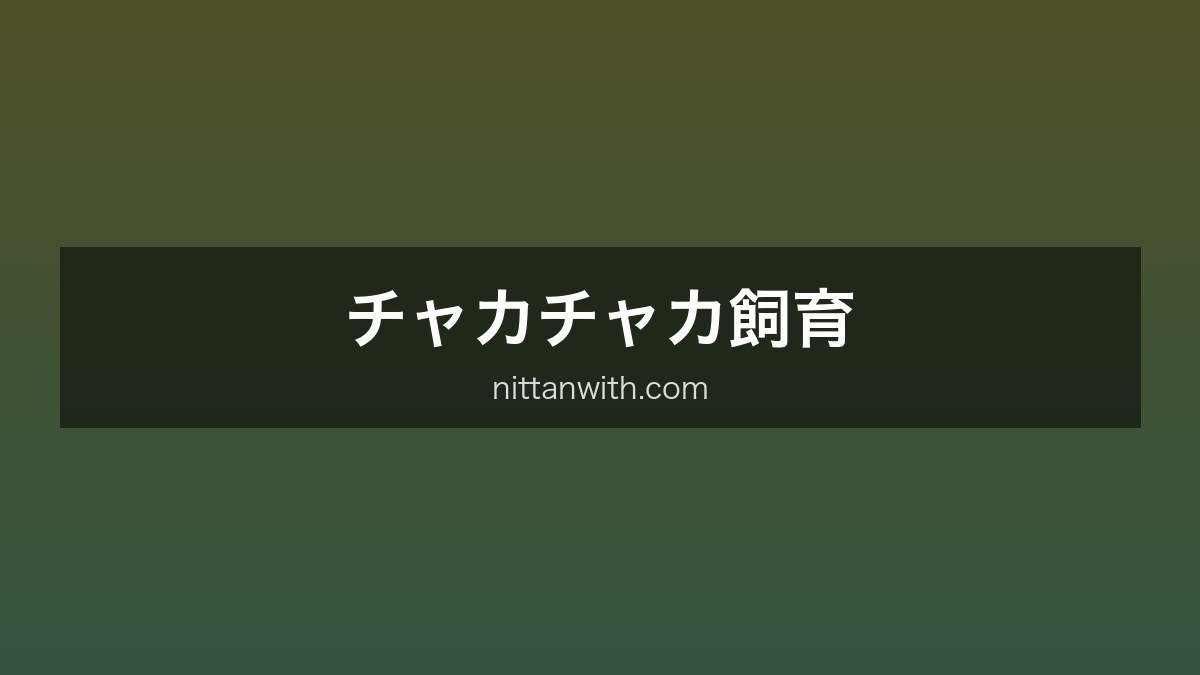 チャカチャカ飼育