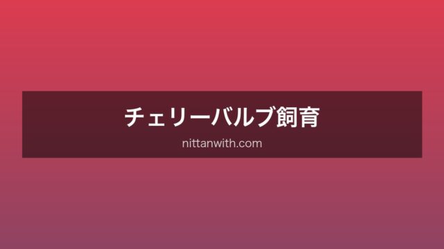 チェリーバルブ