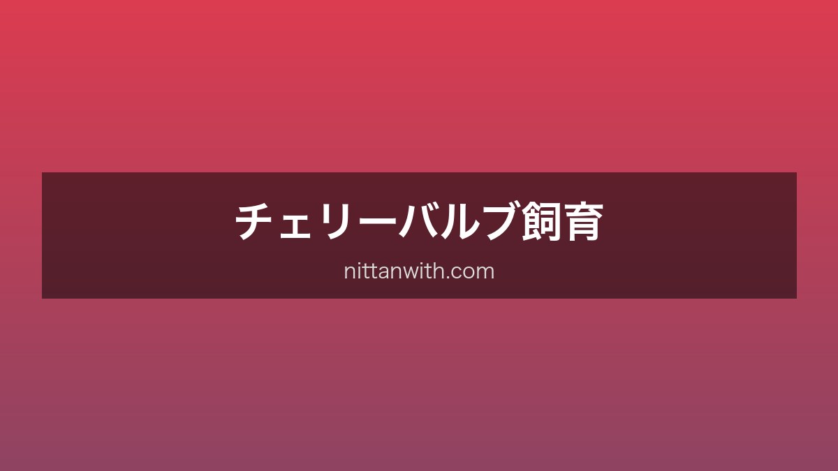 チェリーバルブ