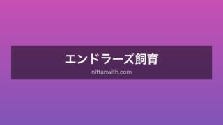 エンドラーズ