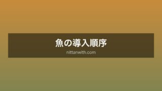 魚の導入順序