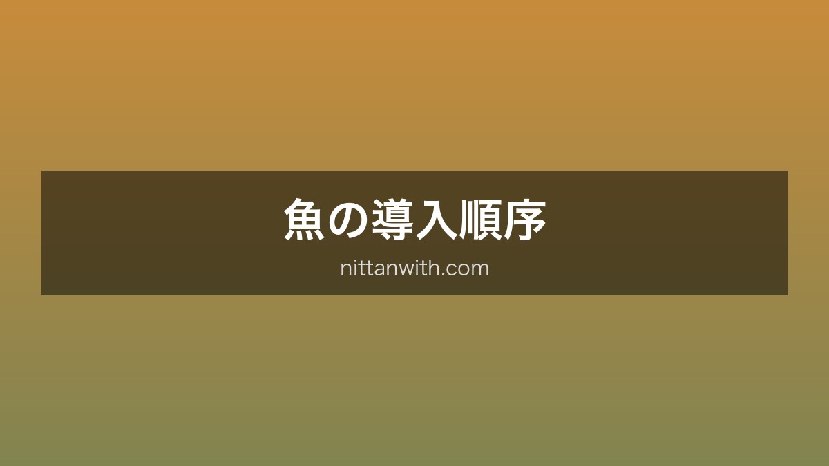 魚の導入順序