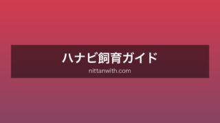 ハナビ飼育