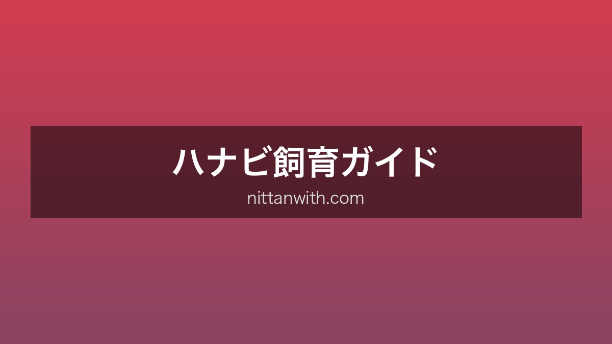 ハナビ飼育