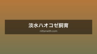 淡水ハオコゼ