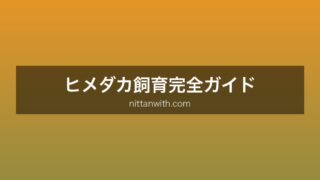 ヒメダカ飼育ガイド