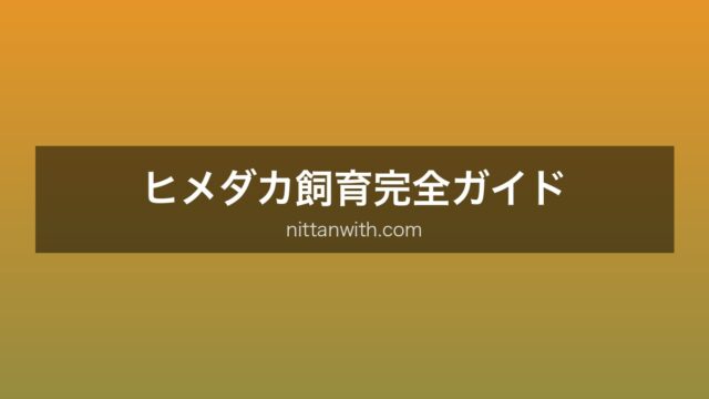ヒメダカ飼育ガイド