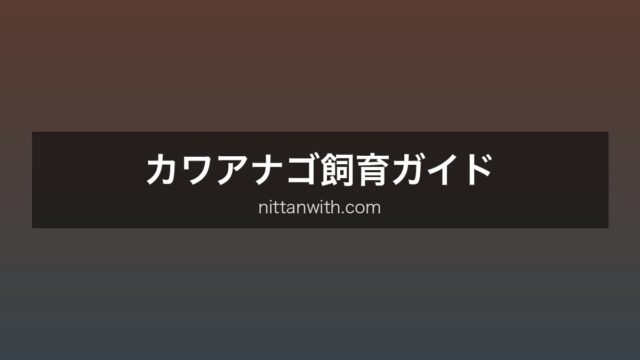 カワアナゴ飼育