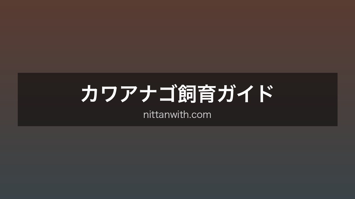 カワアナゴ飼育