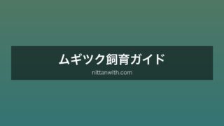 ムギツク飼育