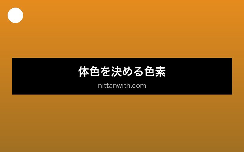 medaka-iro-iden 画像1