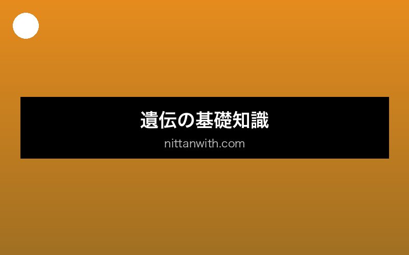 medaka-iro-iden 画像2