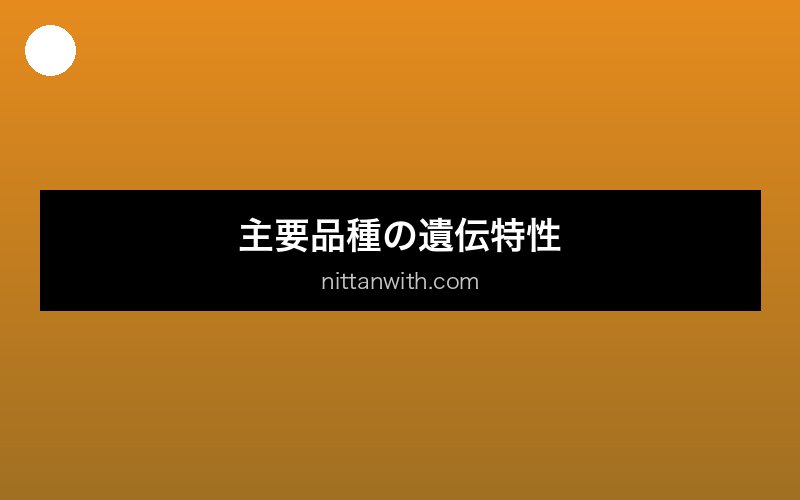 medaka-iro-iden 画像3