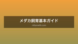 メダカ基本