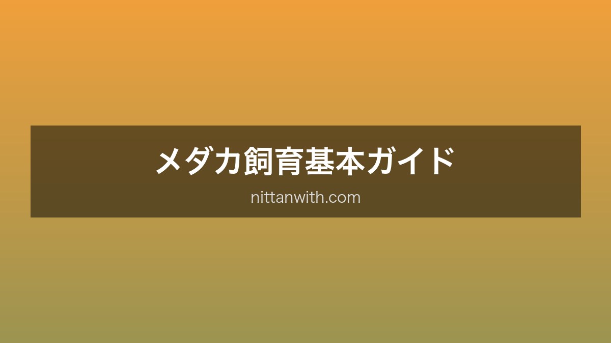 メダカ基本
