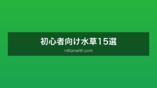 初心者向け水草