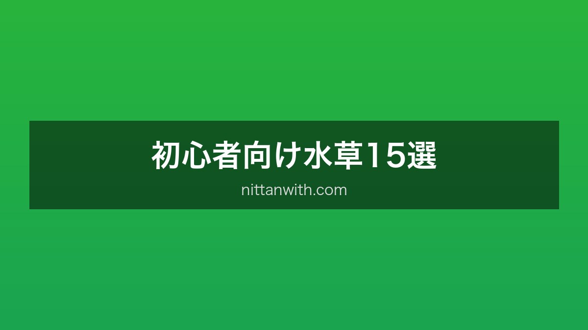 初心者向け水草