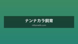ナンナカラ飼育
