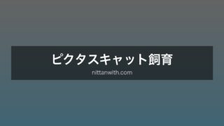ピクタスキャット