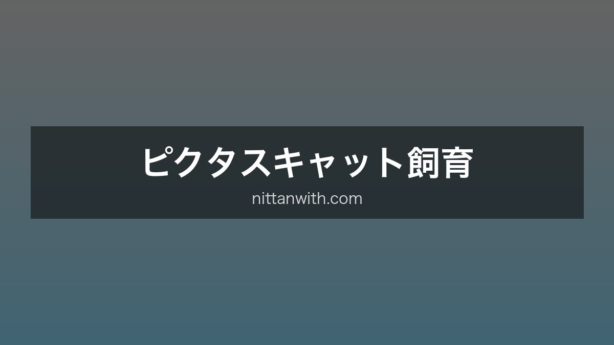 ピクタスキャット