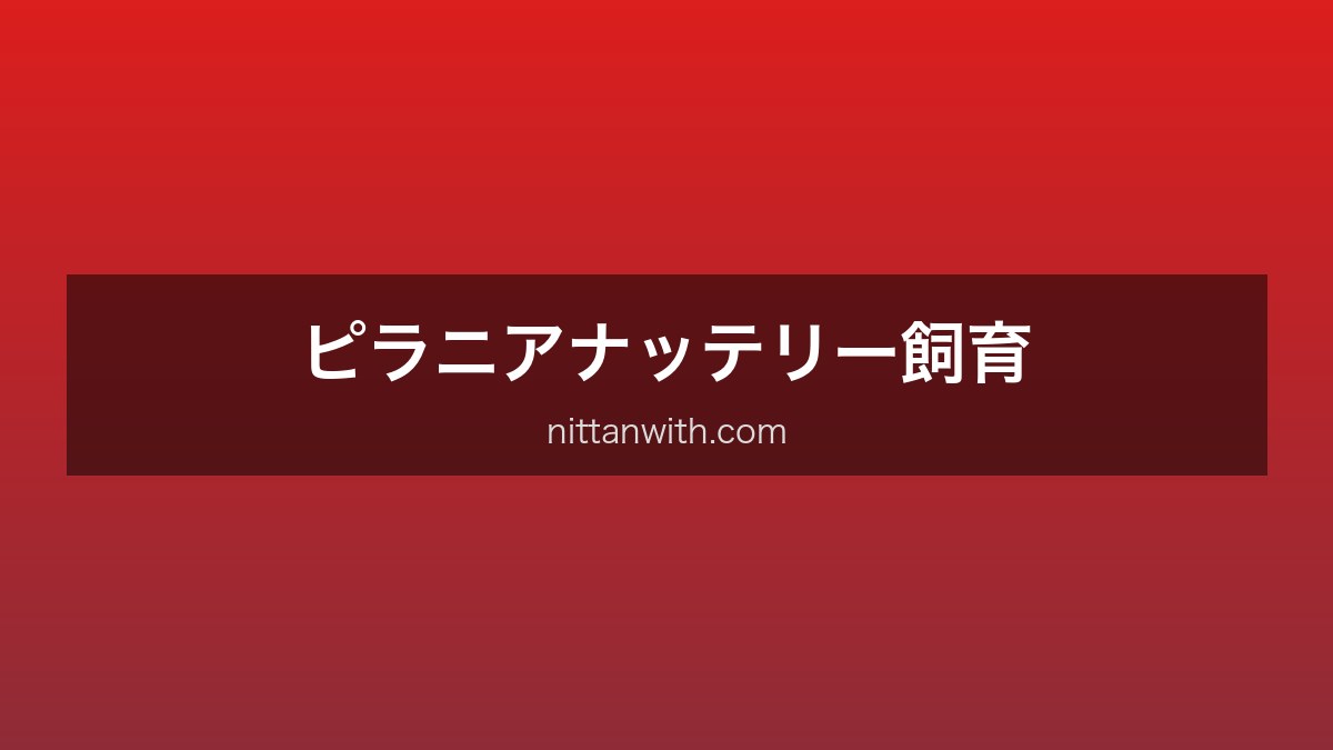 ピラニアナッテリー