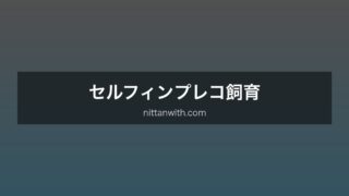 セルフィンプレコ