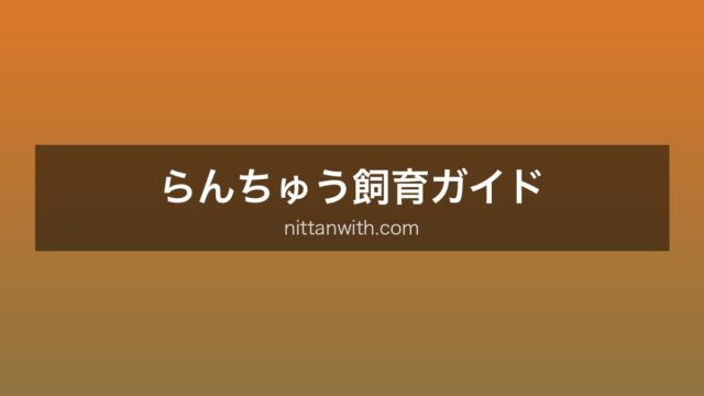 らんちゅう飼育完全ガイド