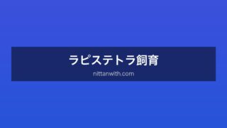 ラピステトラ