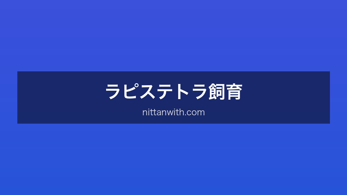 ラピステトラ