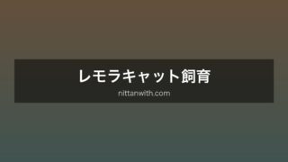 レモラキャット
