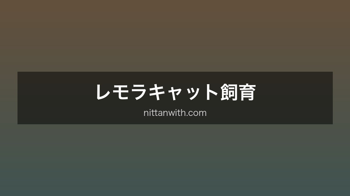 レモラキャット