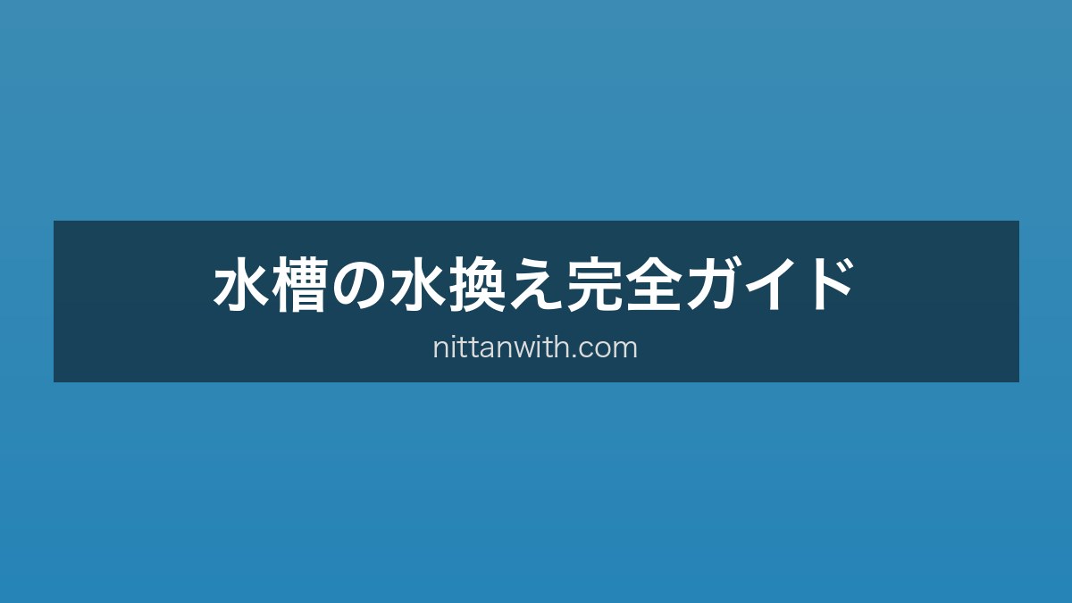 水槽の水換え完全ガイド