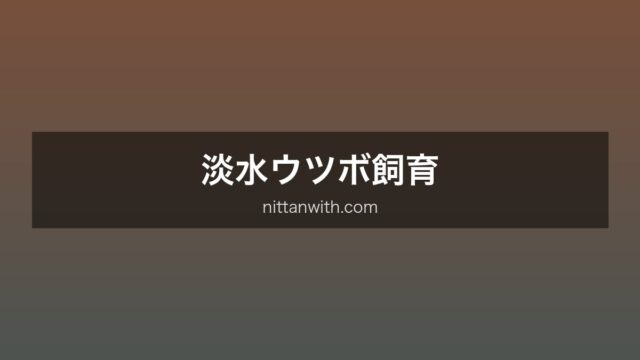 淡水ウツボ飼育