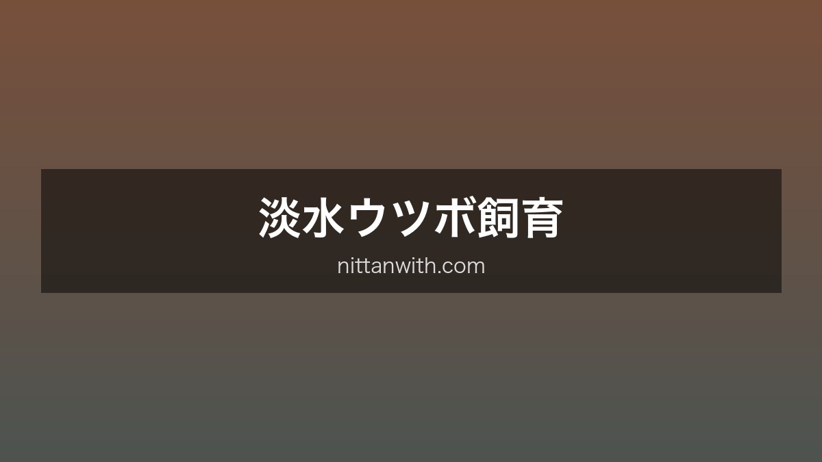 淡水ウツボ飼育