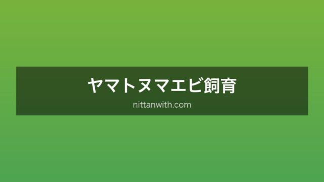 ヤマトヌマエビ