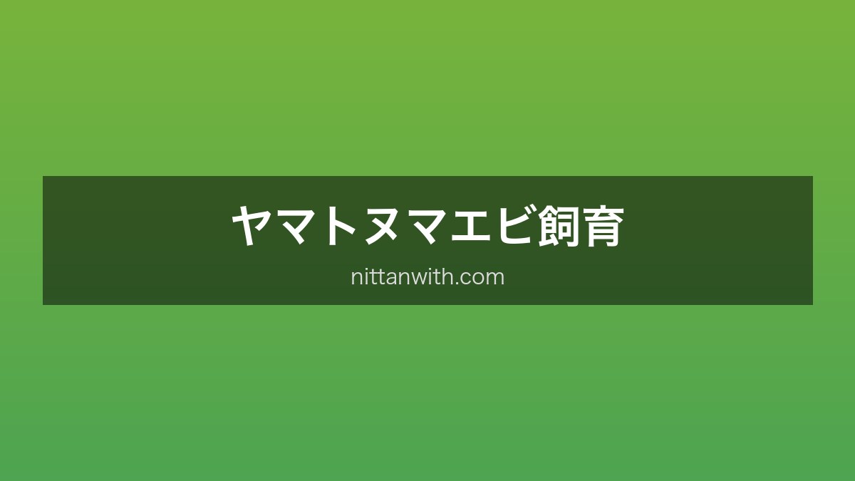 ヤマトヌマエビ