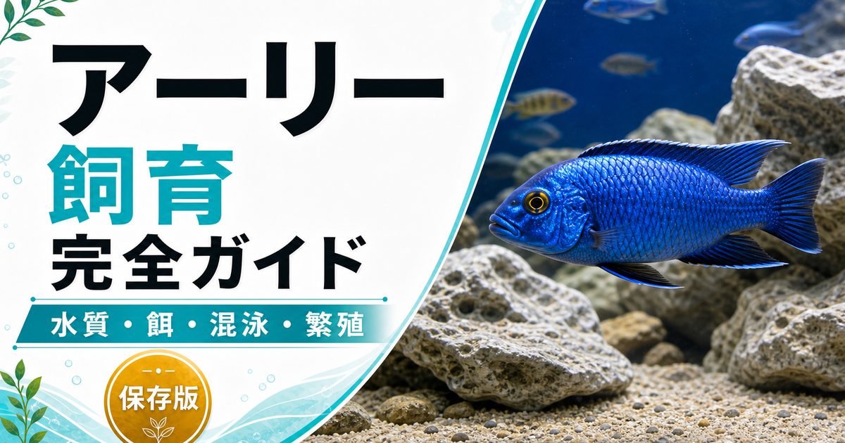 シクリッド　　　アーリー アーリー（スキアエノクロミス・フライエリィ）飼育完全ガイド