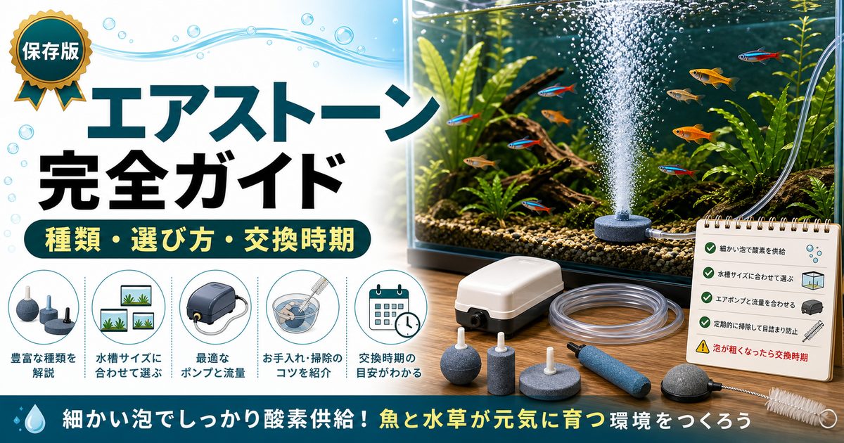 水槽用エアストーン完全ガイド｜種類・選び方・交換時期と長持ちのコツの要点を伝える淡水魚記事アイキャッチ画像