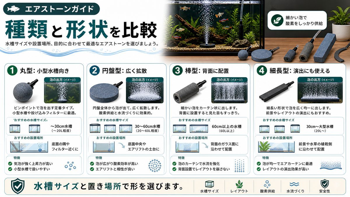 エアストーンの種類と形状の要点をまとめた淡水魚飼育インフォグラフィック